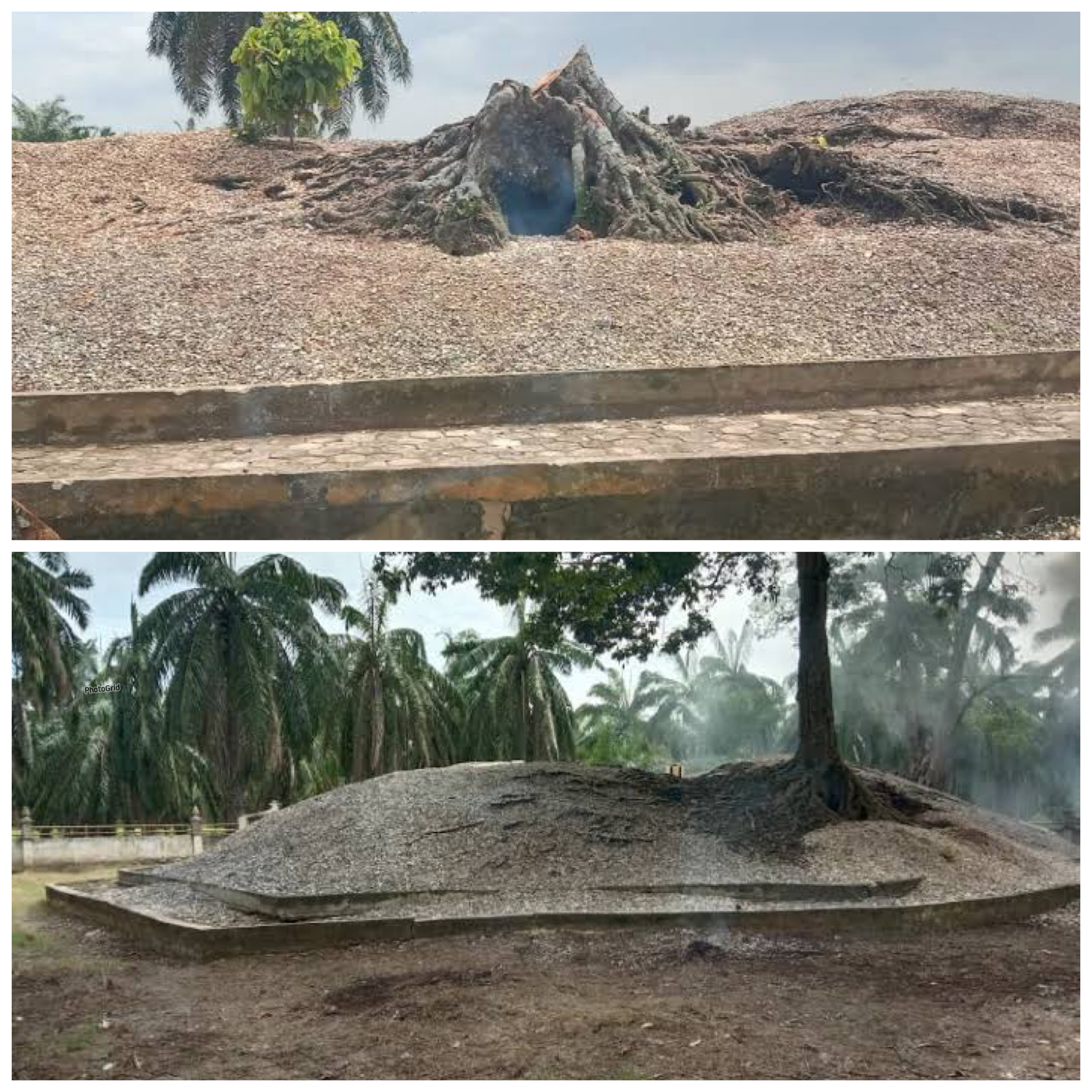 Menelusuri Sejarah Bukit Kerang: Menelusuri Jejak Peradaban Prasejarah di Pesisir Nusantara!
