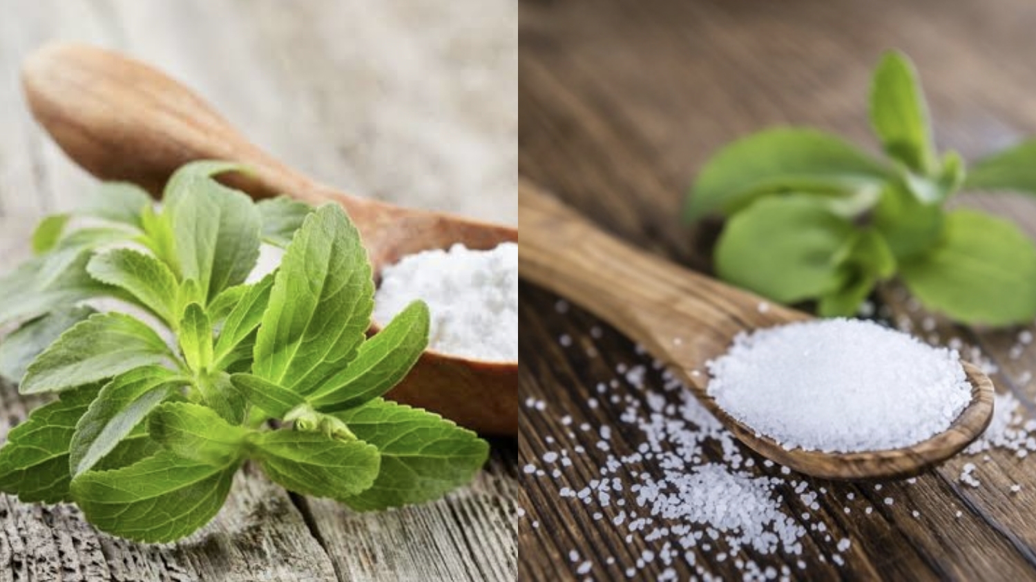 Apa Saja Efek Samping Stevia, Pemanis Rendah Kalori Pengganti Gula?