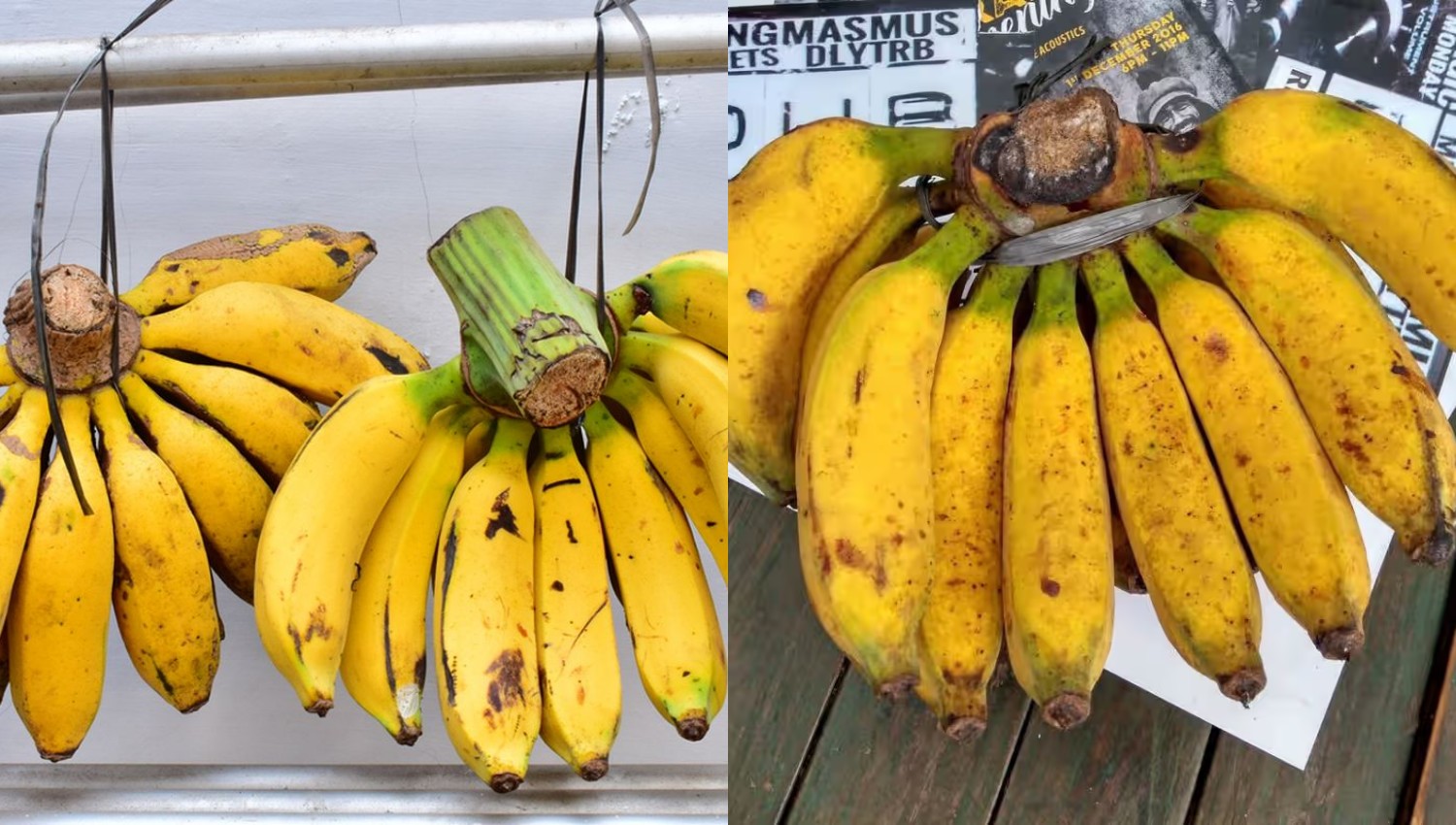 Manfaat Pisang Raja yang Wajib Kamu Tahu untuk Tubuh yang Lebih Sehat