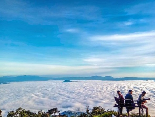 Gunung Sago, Surga Tersembunyi di Sumatera Barat yang Wajib Dijelajahi!