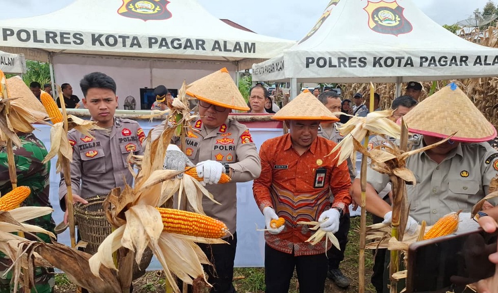 Panen Raya Jagung, AKBP Januar KS Persada : Polri Wujudkan Swasembada Pangan Nasional