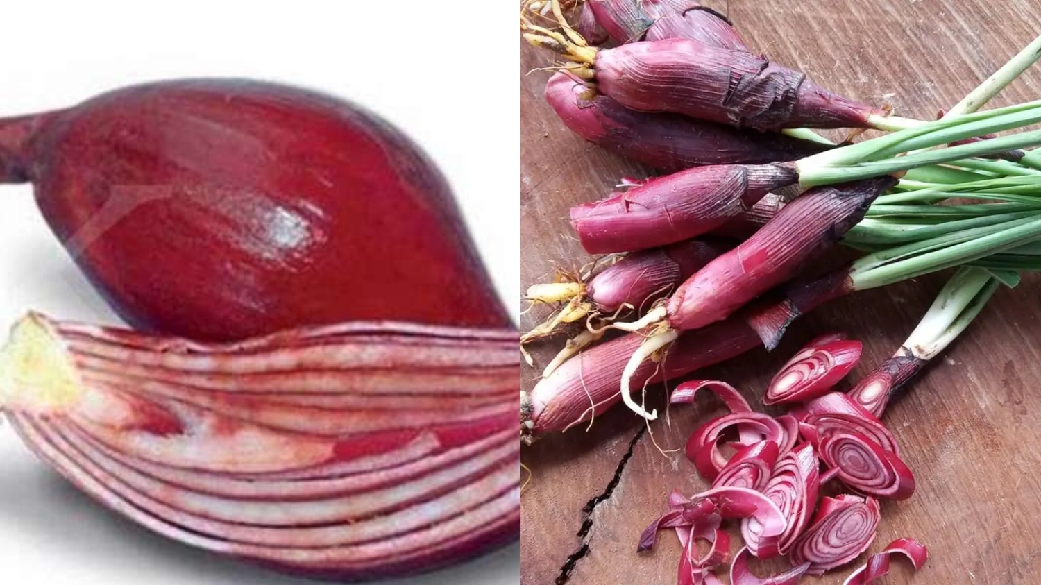 Menurunkan Tekanan Darah Tinggi Inilah Manfaat Bawang Dayak Untuk Kesehatan Yang Jarang Anda Ketahui! 