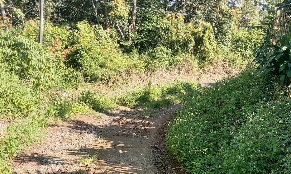 Akses Menuju Sekolah Rusak Parah, Belum Tersentuh Perbaikan