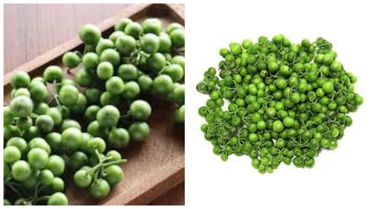 Leunca, Nutrisi dan Manfaatnya bagi Kesehatan