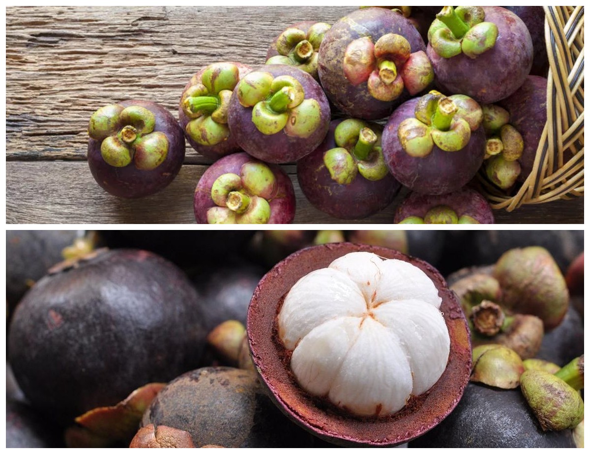 Ketahui 5 Manfaat Buah Manggis untuk Kesehatan Tubuh yang Luar Biasa!