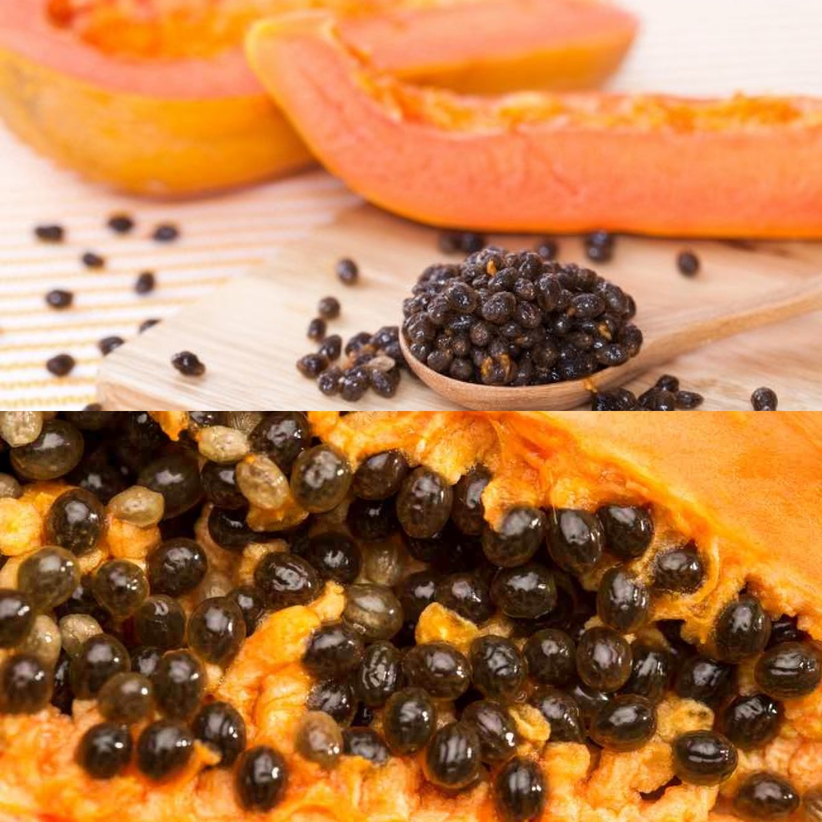 Inilah 8 Keuntungan Biji Pepaya yang Jarang Diketahui!