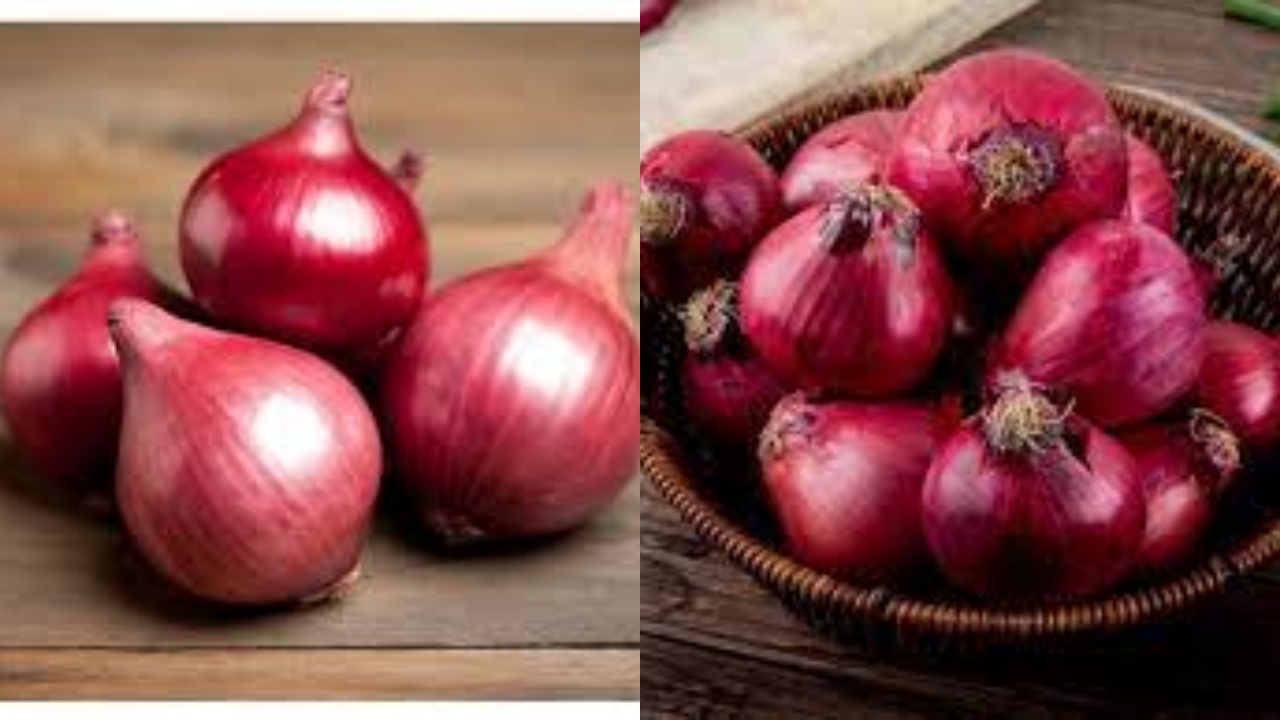 Tak Hanya Gurih, Teryata Ini Manfaat Bawang Merah Untuk Kesehatan Tubuh!