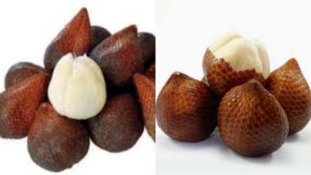  Salak Pondoh, Ketahui 7 Manfaat dan Cara Mengonsumsinya Disini!