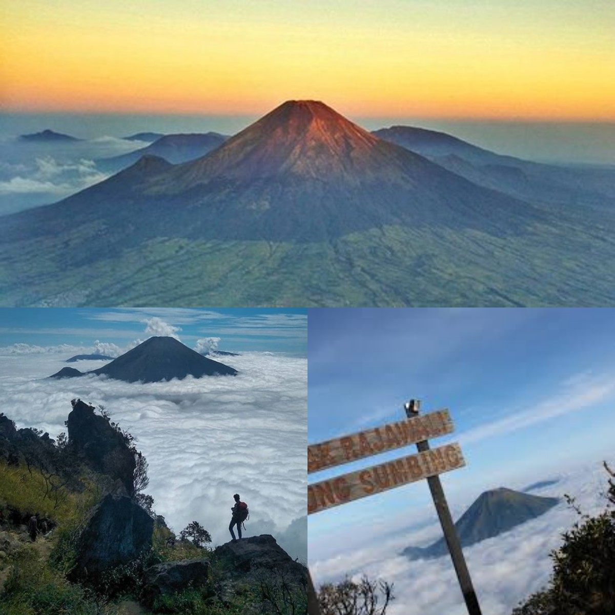 Ingin Mendaki Gunung Sumbing? Simak Fakta Menariknya Sebelum Berangkat!