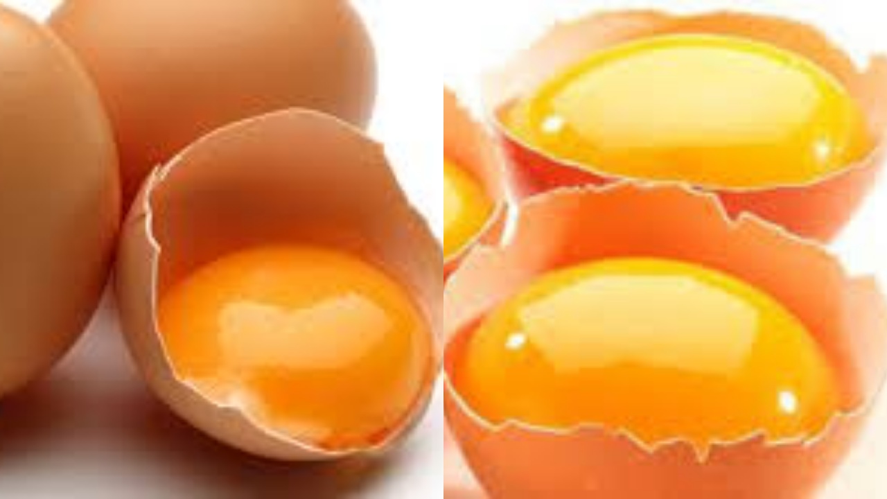 Menjaga Keseimbangan Hormon Inilah Manfaat Kuning Telur Untuk Kesehatan!