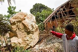 Aneh Tapi NYata! di Dalam Hutan Jati Lamongan Terdapat Temuan Istana Lho! Ini Dia Selengkapnya