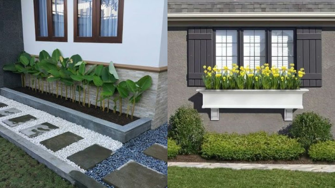 Inspirasi Pot Tanaman di Bawah Jendela, Sentuhan Hijau yang Estetik dan Segar!