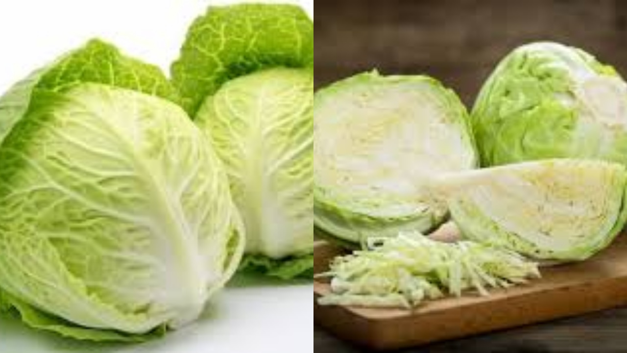 Manfaat Sayur Kol, Kandungan Gizi, dan Efek Samping