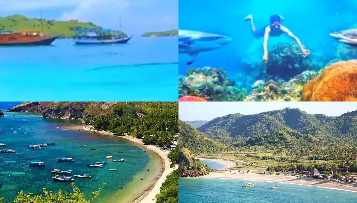 Nusa Tenggara Timur: Surga Tersembunyi Wisata Laut yang Memukau dan Terlupakan