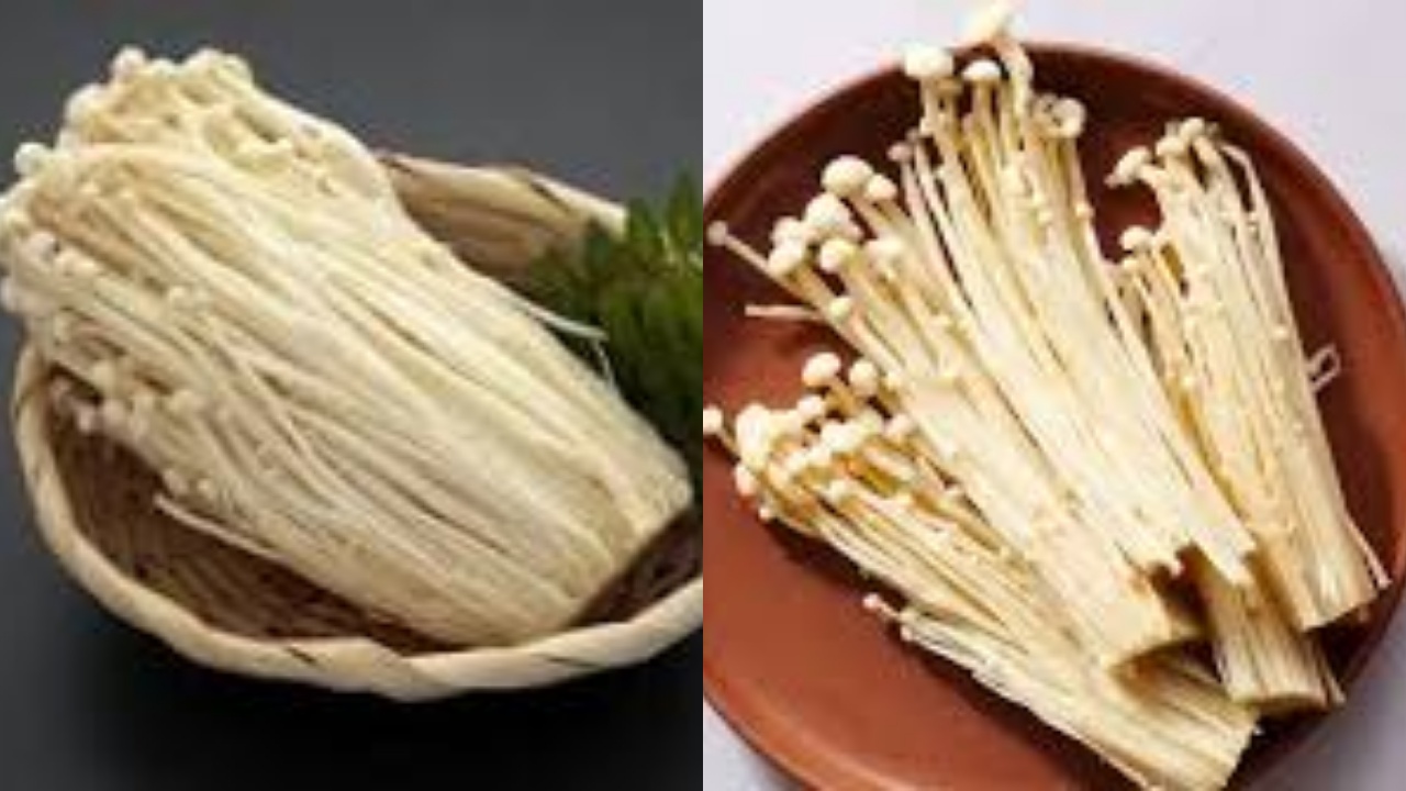  Rahasia Sehat dari Jamur Enoki: Imun Kuat, Pencernaan Lancar