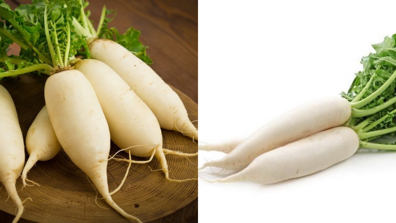 Manfaat Lobak yang Sayang untuk Dilewatkan, Kaya Nutrisi dan Serat!