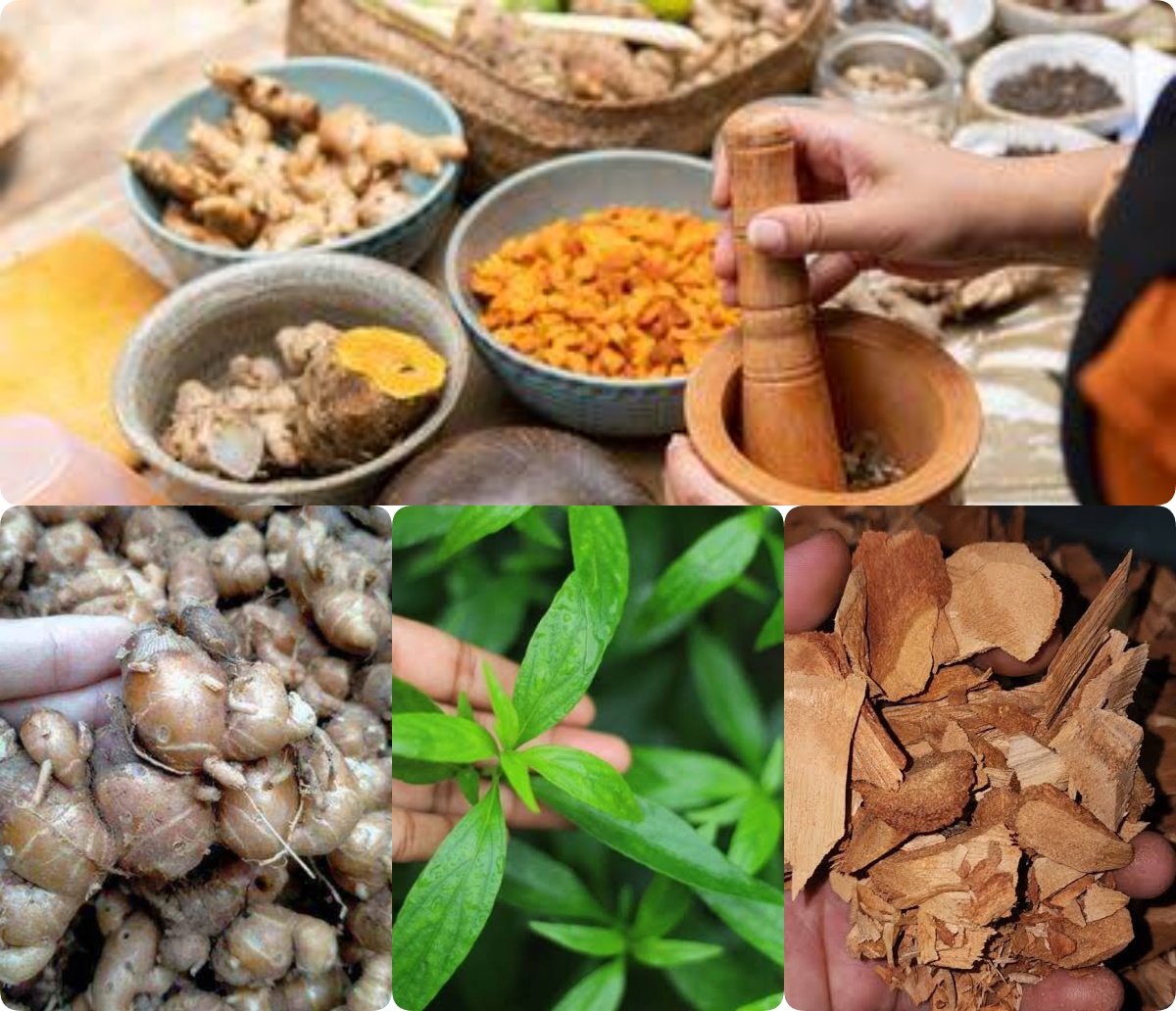 5 Obat Herbal Kuno dari Puncak Gunung Digunakan U tuk Pengobatan dan Ramuan Kesehatan