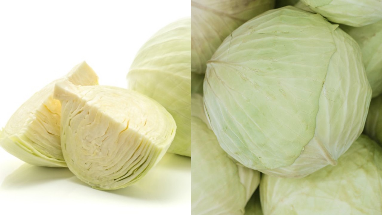 Manfaat Kol bagi Kesehatan Tubuh: Baik untuk Pencernaan hingga Tulang!