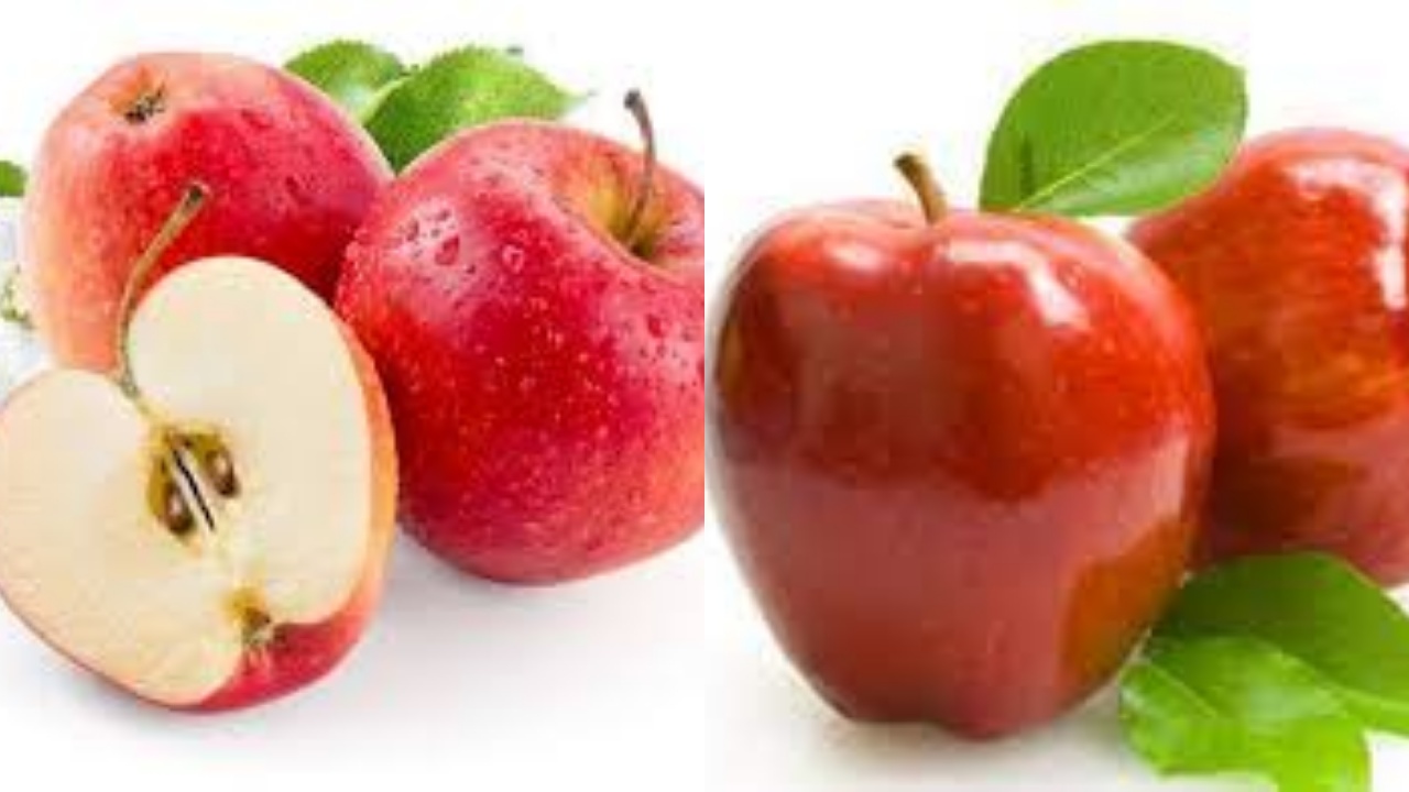 Catat! Beragam Manfaat Apel Untuk Kesehatan Tidak Perlu Diragukan Ini Penjelasanya!