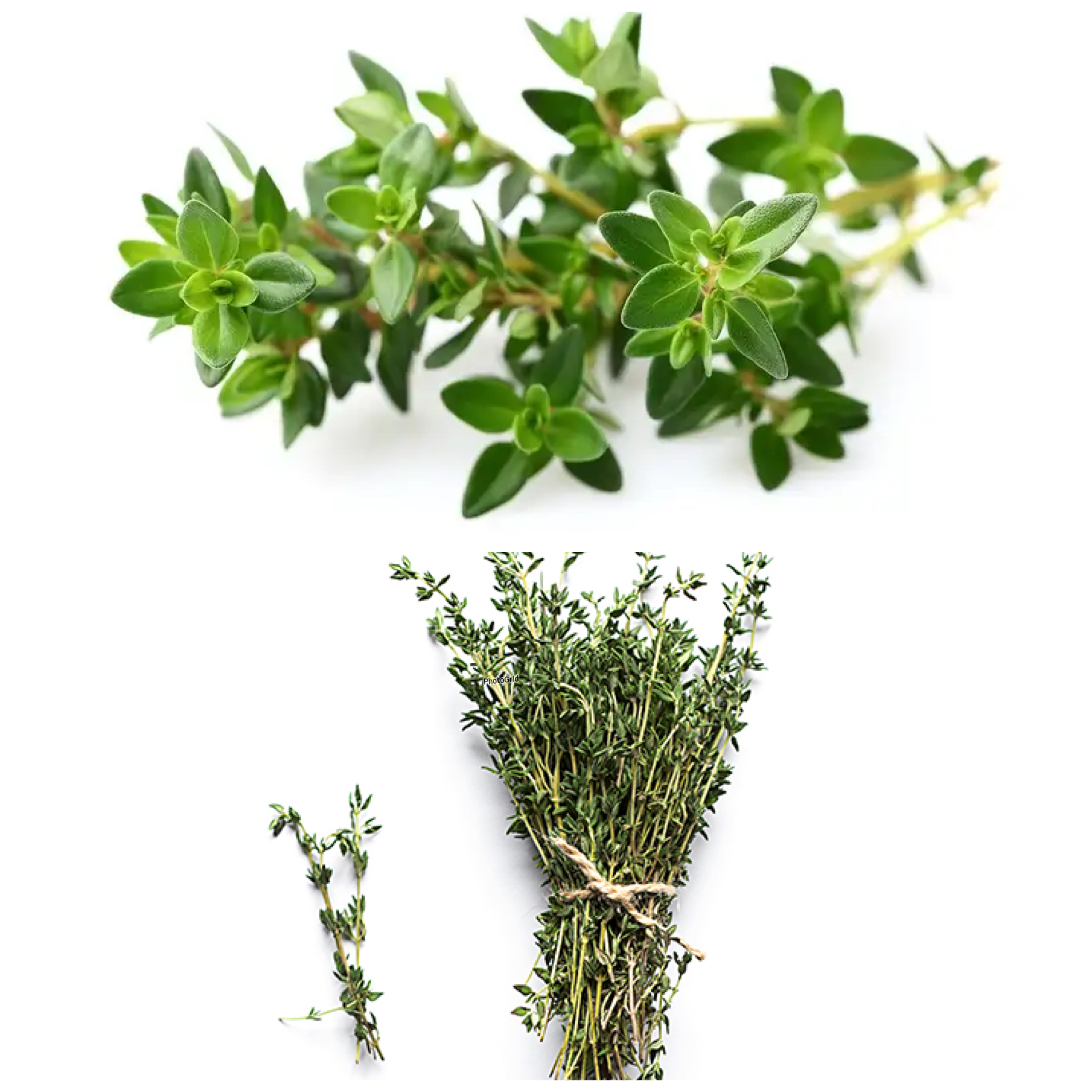 Khasiat Daun Thyme untuk Kesehatan, Herbal Aromatik yang Kaya Manfaat!
