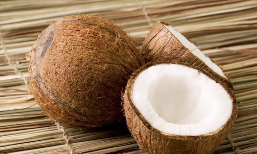 Sumsel Inisiasi Pembangunan Pabrik Bioavtur di Banyuasin