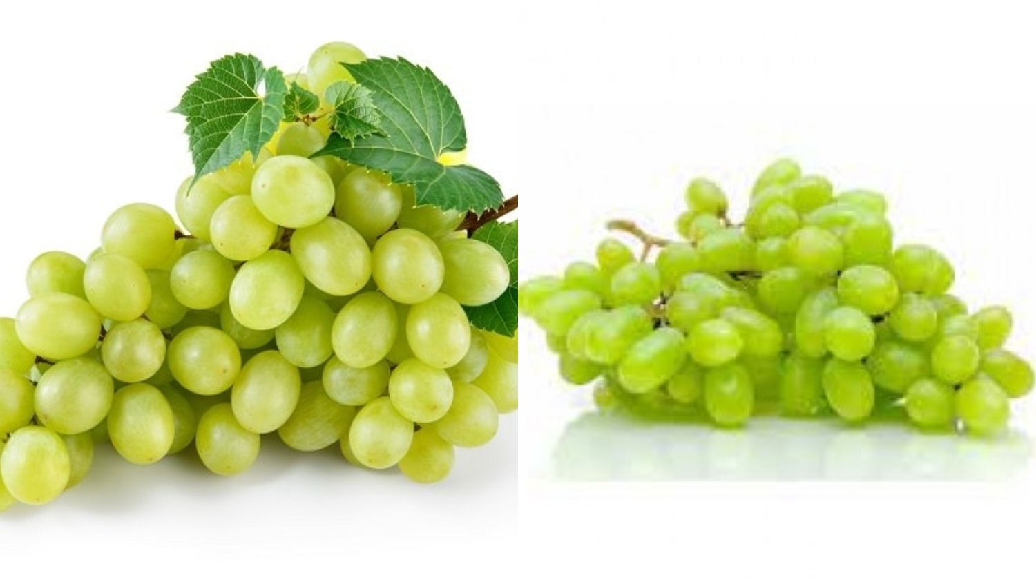 Beragam Manfaat Buah Anggur untuk Kesehatan Yang Harus Kalian Ketahui! 