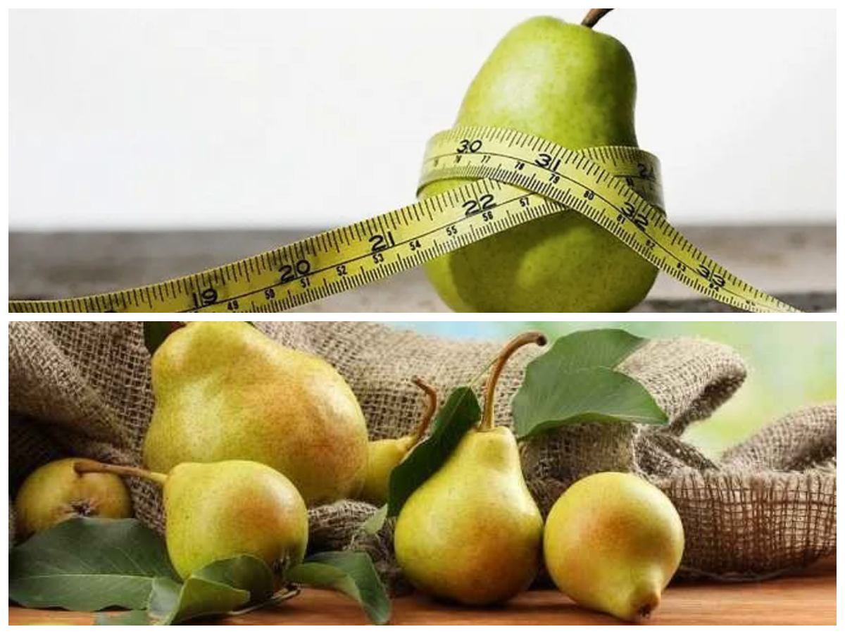 Segar dan Bergizi! Fakta Menarik Tentang Buah Pir dan Khasiatnya untuk Kesehatan