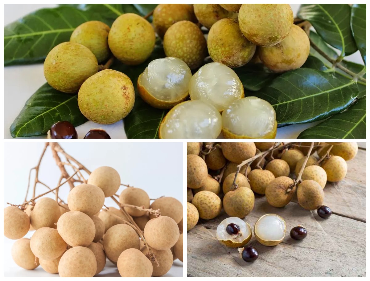 Manfaat Buah Kelengkeng bagi Kesehatan Tubuh: Si Kecil Manis yang Kaya Nutrisi dan Khasiat!