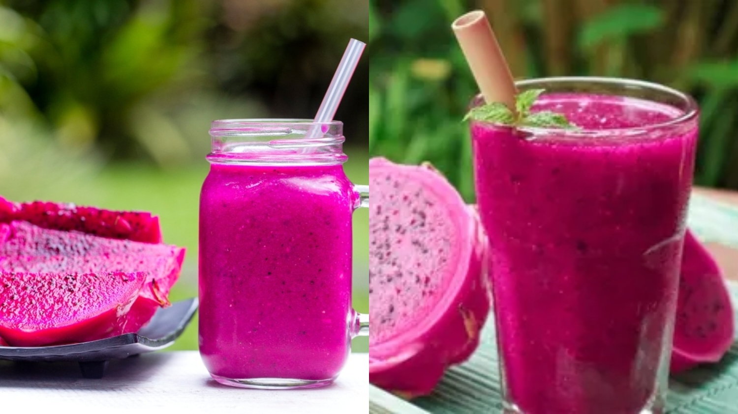 Meningkatkan Sistem Kekebalan Tubuh Inilah Manfaat Jus Buah Naga Untuk Kesehatan Tubuh! 