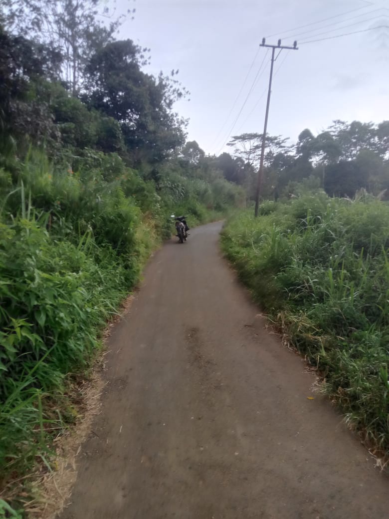 Jalan Penghubung Disesaki Belukar dan Minim PJU