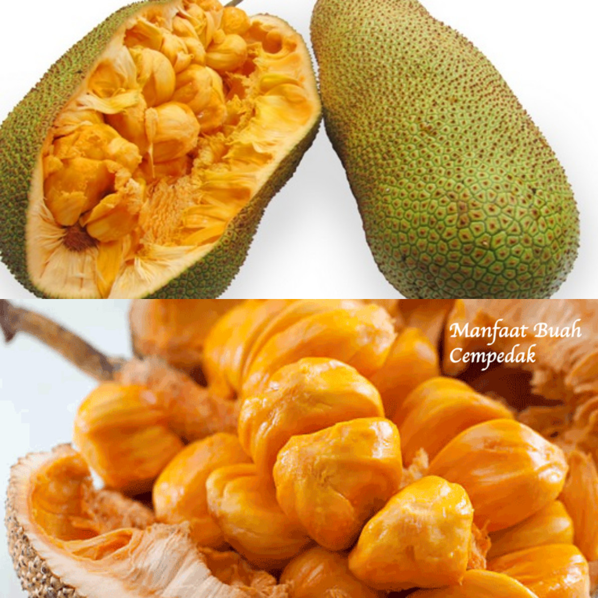  Inilah Kebaikan Cempedak bagi Kesehatan dari Nutrisi yang Terkandung!