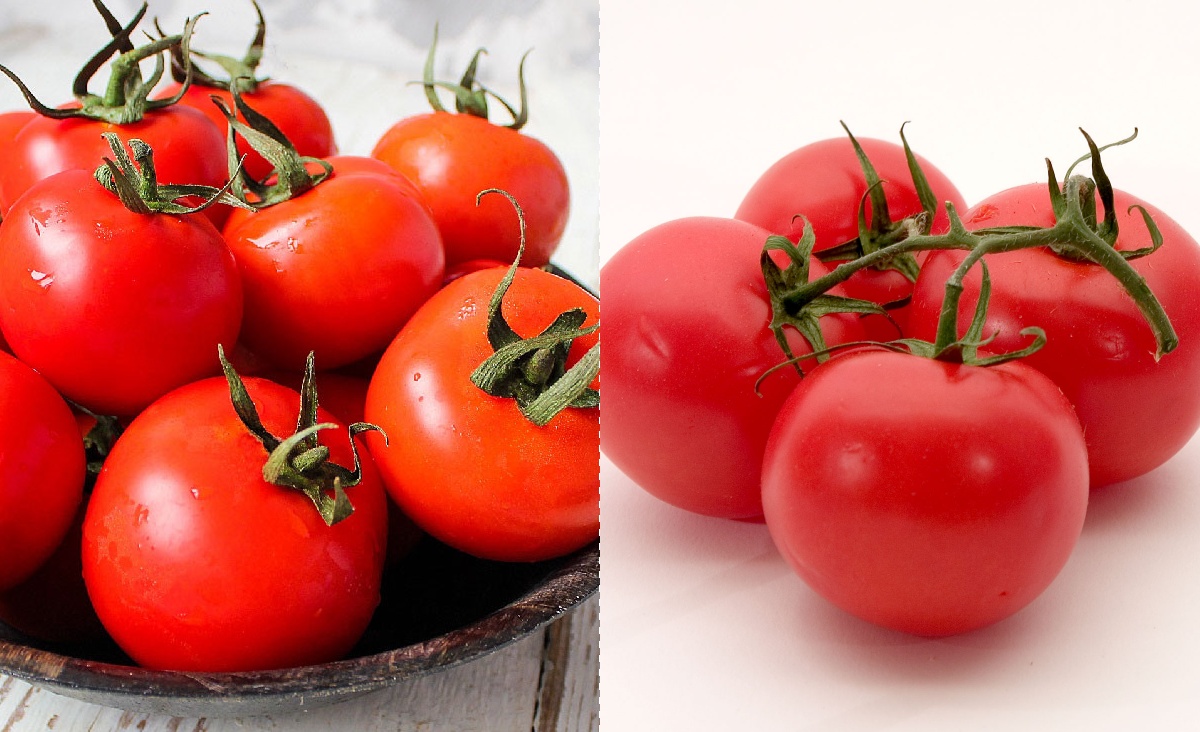 Manfaat Tomat Untuk Kesehatan: Nutrisi Hidup Lebih Sehat