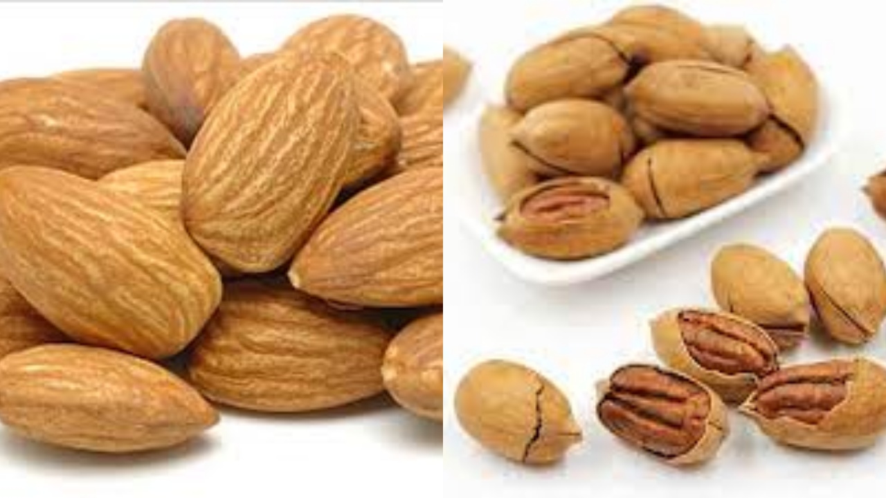 Yuk Intip! 8 Manfaat Kacang Kenari Dan Beragam Kandungan Yang Luar Biasa