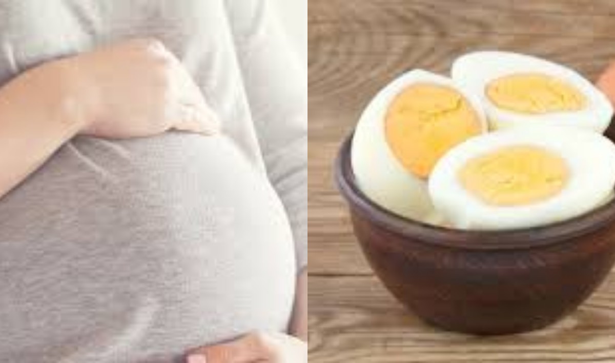 Kabar Bagus! Ternayata Telur Rebus Banyak Manfaatnya untuk Kamu yang Sedang Program Hamil