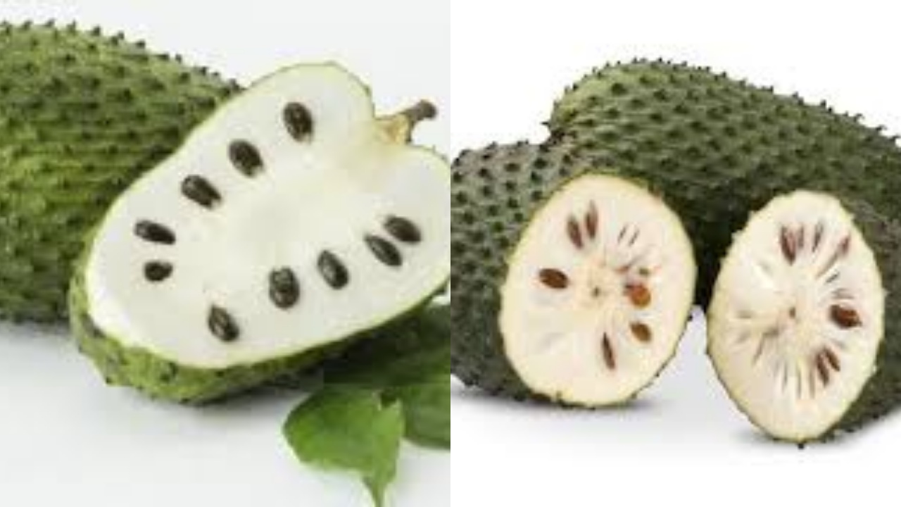 Yuk Ketahui! Inilah Manfaat Sirsak Untuk Penderita Kanker Yang Jarang Diketahui