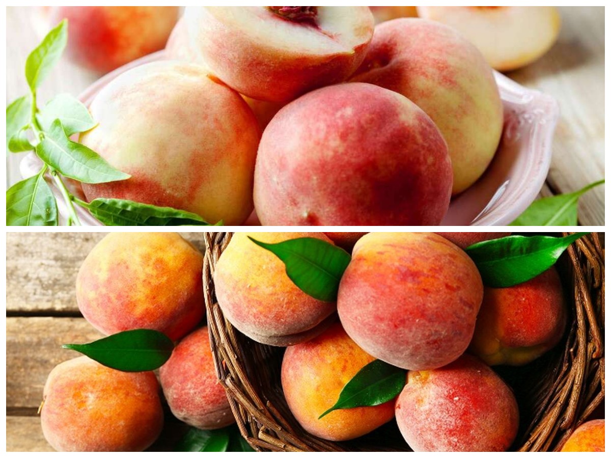 Manfaat Buah Peach yang Jarang Diketahui untuk Kesehatan Tubuh