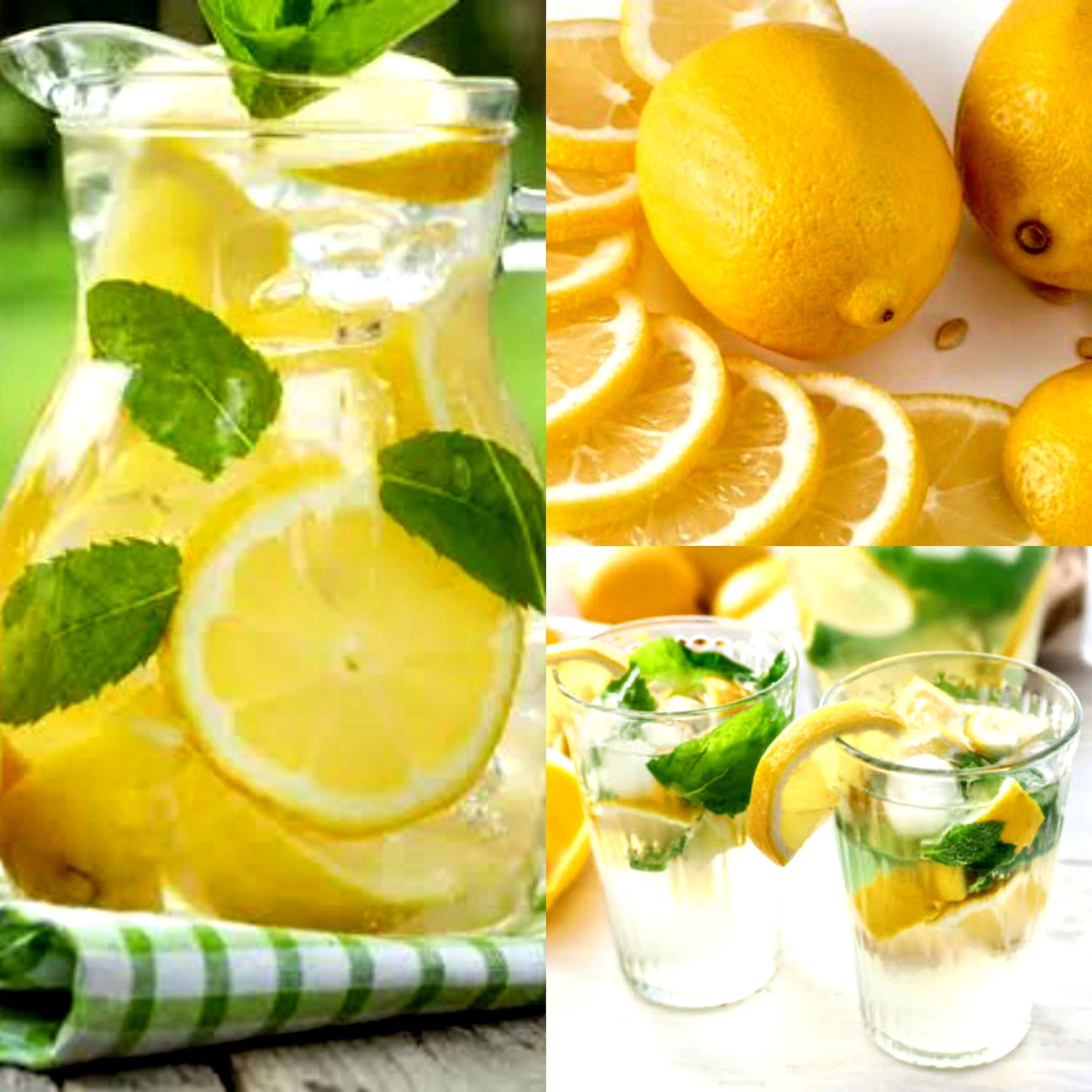 Imun Tubuh Paling Ampuh. Manfaat Lemon Bagi Kesehatan Jaga Stamina Setiap Kondisi