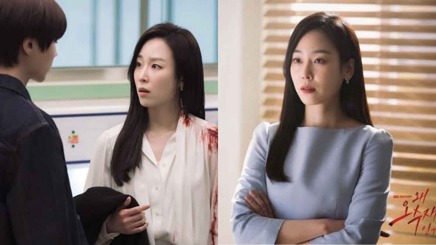 Drama Korea Why Her, Kisah Pengacara dan Mantan Napi