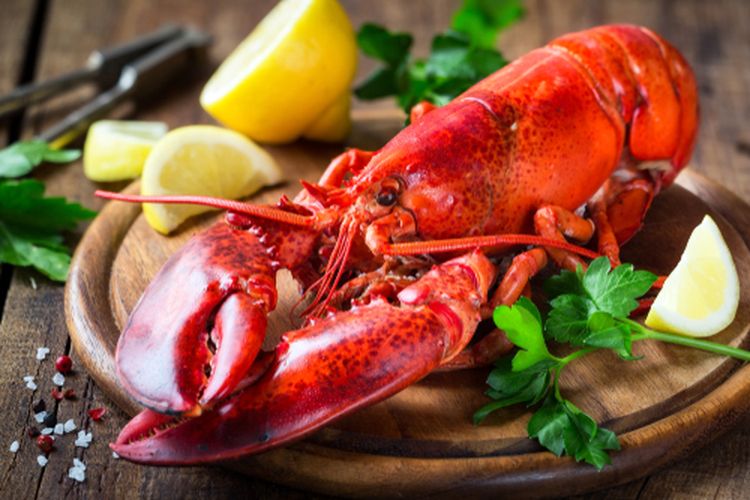 Kaya Akan Protein! Inilah Deretan Manfaat Lobster untuk Kesehatan 