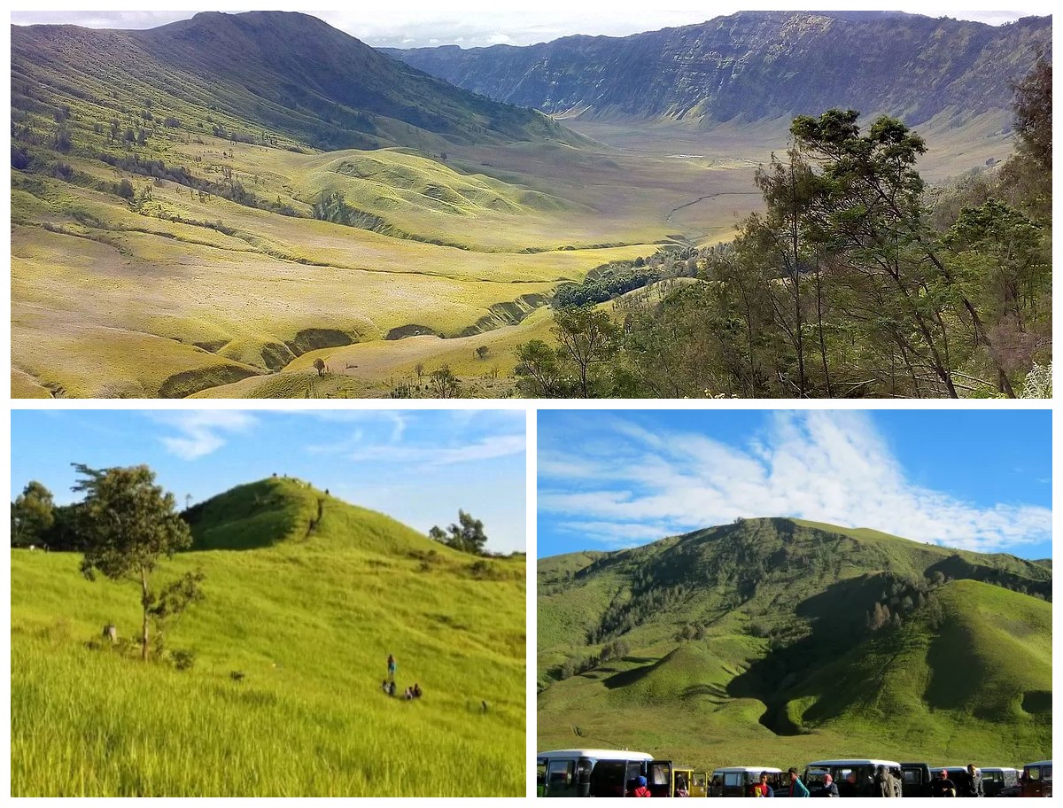 Sejarah Bukit Teletubbies: Dari Alam Liar Menjadi Ikon Wisata Instagramable!