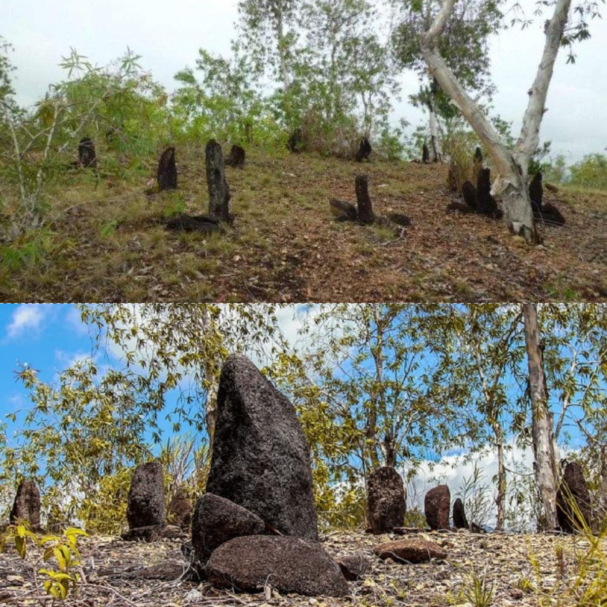 Situs Megalitik Tutari, Destinasi Wisata Unik di Pinggiran Danau Sentani