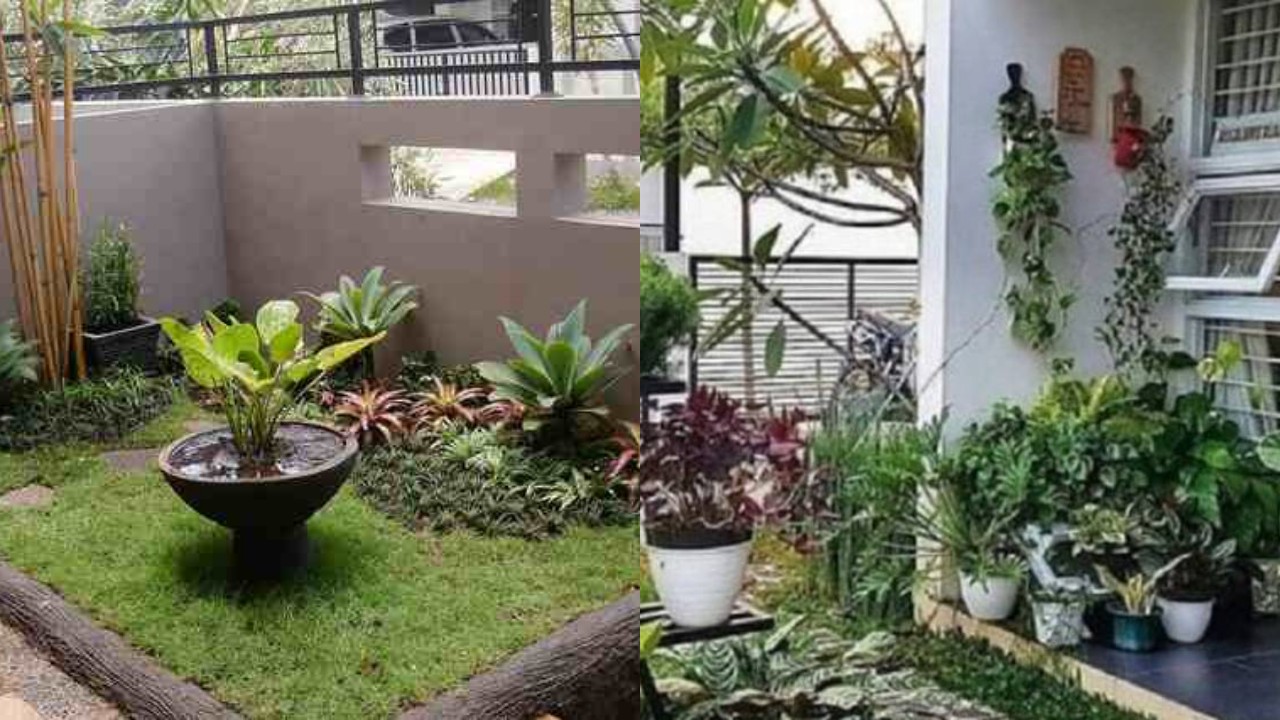 Inspirasi Taman Depan Rumah Sederhana yang Cantik dan Menyegarkan!