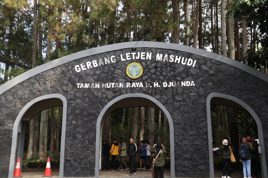 Menyelami Sejarah dan Keindahan Taman Hutan Raya Ir. H. Djuanda, Bandung