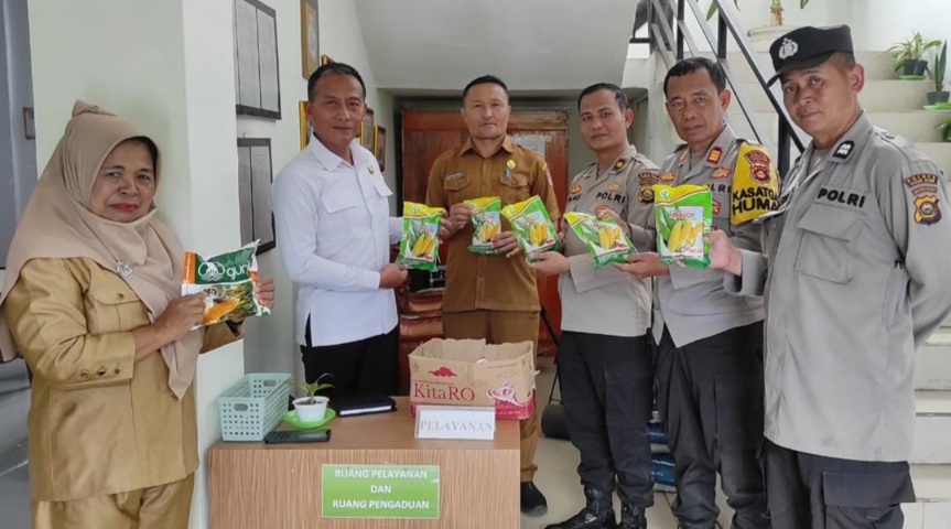 Cek Ketersedian Bibit dan Pupuk, Dukung Program Penanaman Jagung Serentak