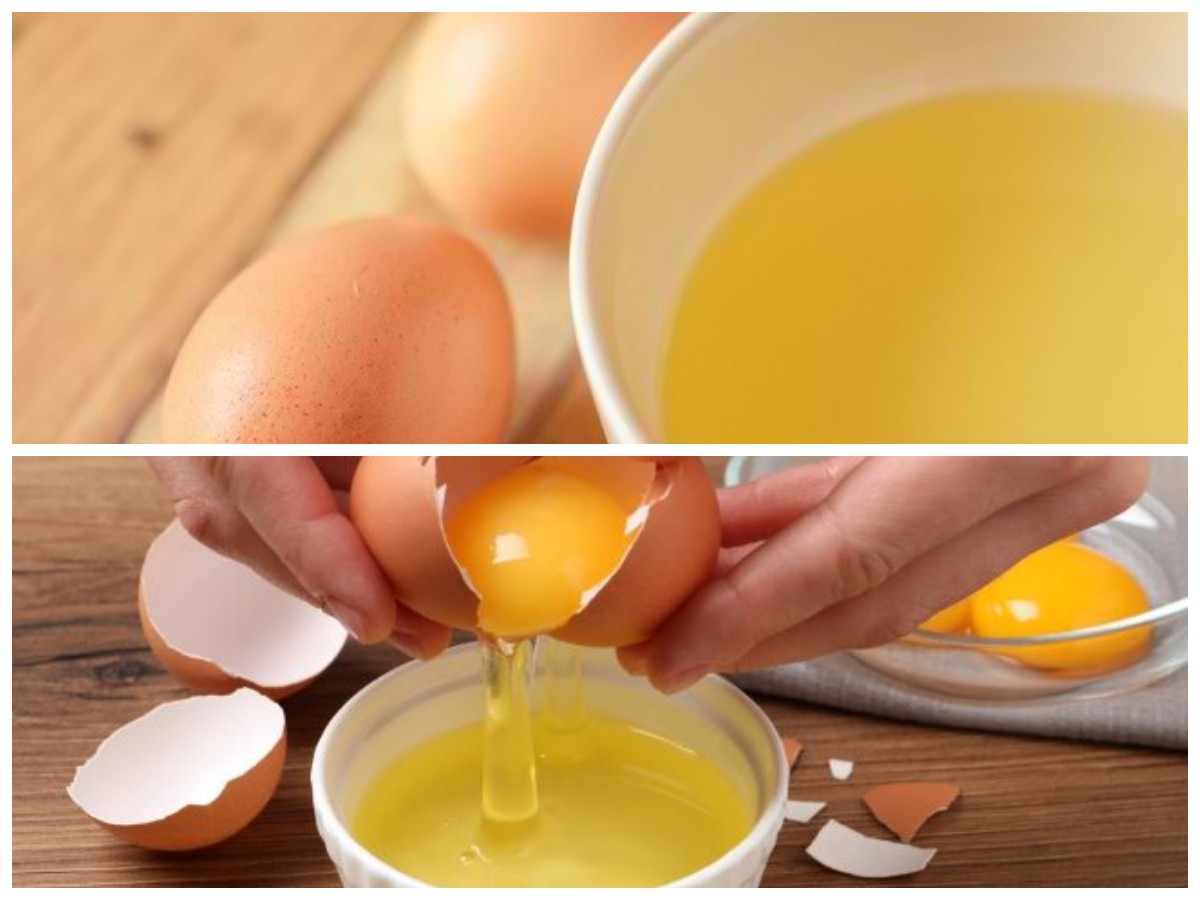 Putih Telur Ayam, Kaya Protein Rendah Lemak yang Bermanfaat untuk Kesehatan Tubuh