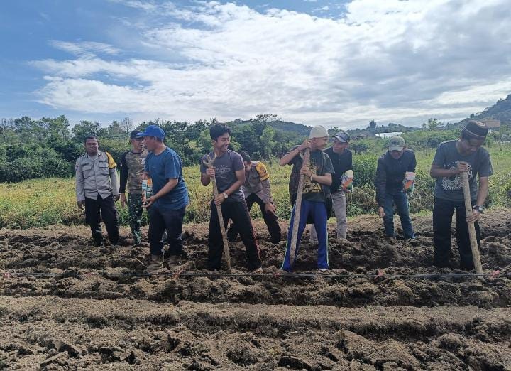 Wujudkan Ketahanan Pangan Nasional, TNI - Polri Tanam Jagung bersama Petani