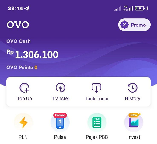 Terbukti! Dapat Saldo OVO Rp 300 Ribu Hanya Dengan Mengisi Survei, No Hoax!