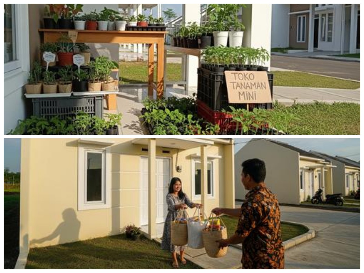 Manfaatkan Lahan Sisa! 7 Peluang Usaha di Belakang Rumah yang Minim Modal tapi Menjanjikan