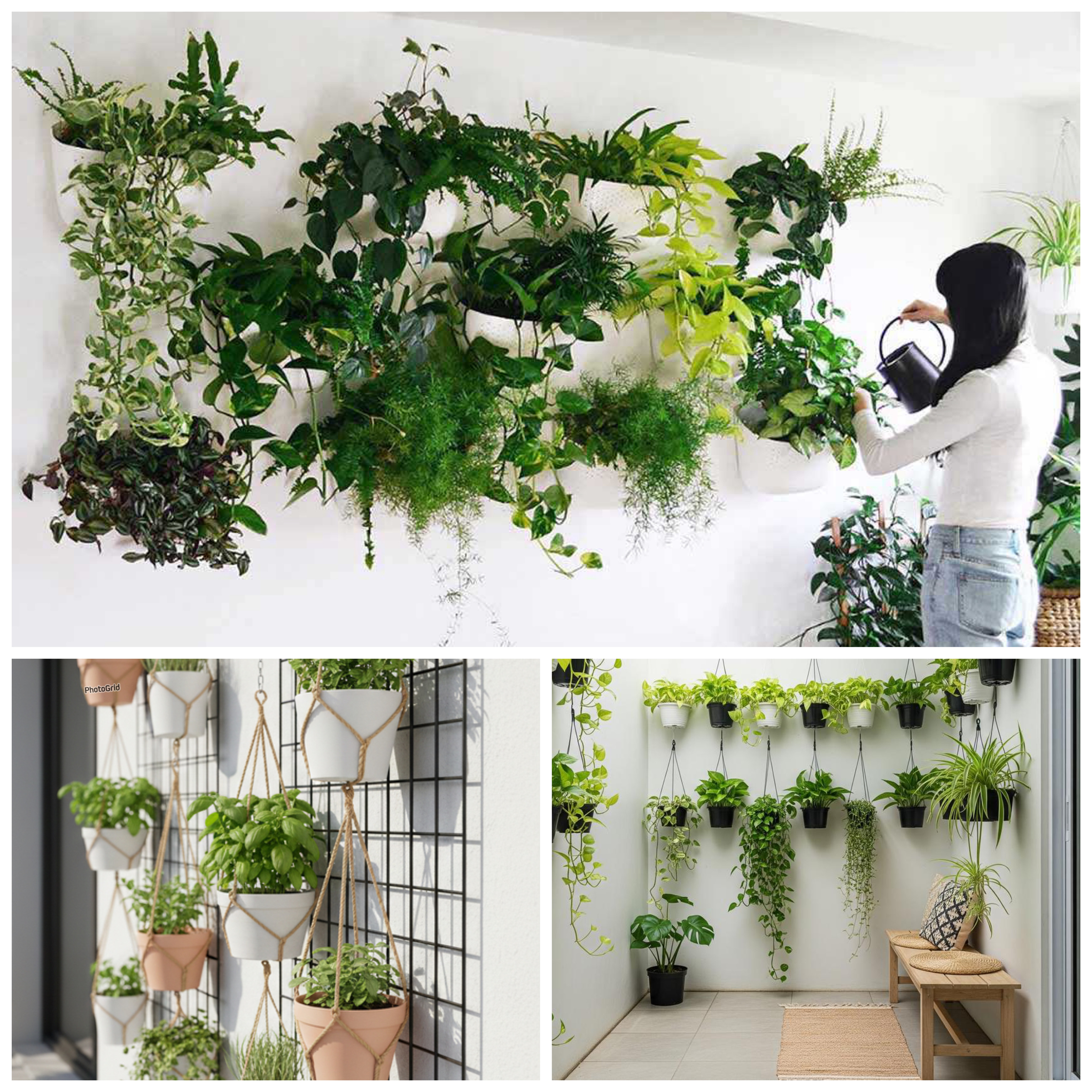 Jangan Dibuang! Ini 7 Ide Pot Tanaman Dinding dari Barang Bekas Dapur yang Estetik!