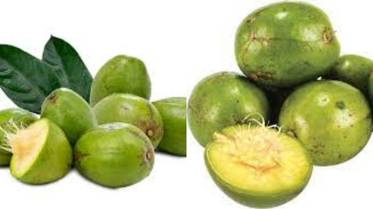 6 Manfaat Kedondong bagi Kesehatan Tubuh Yang Harus Kalian Tahu!
